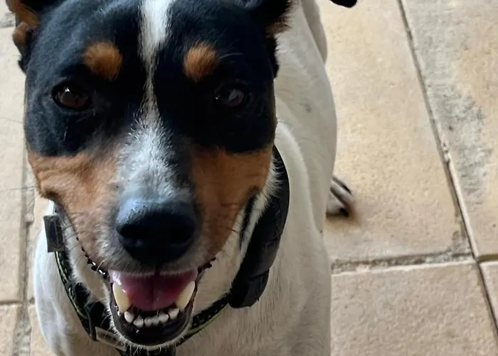 La Graule Self Contained Pensionat *